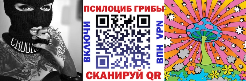 Псилоцибиновые грибы Psilocybe  где найти   Вязьма 