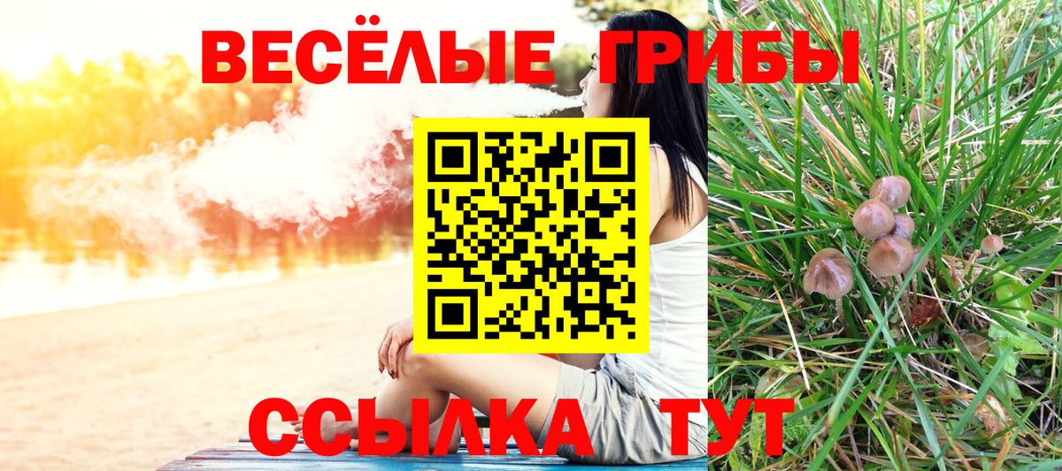 Галлюциногенные грибы MAGIC MUSHROOMS Вязьма