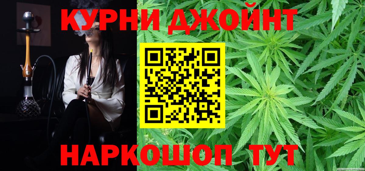 Бошки Шишки планчик Вязьма